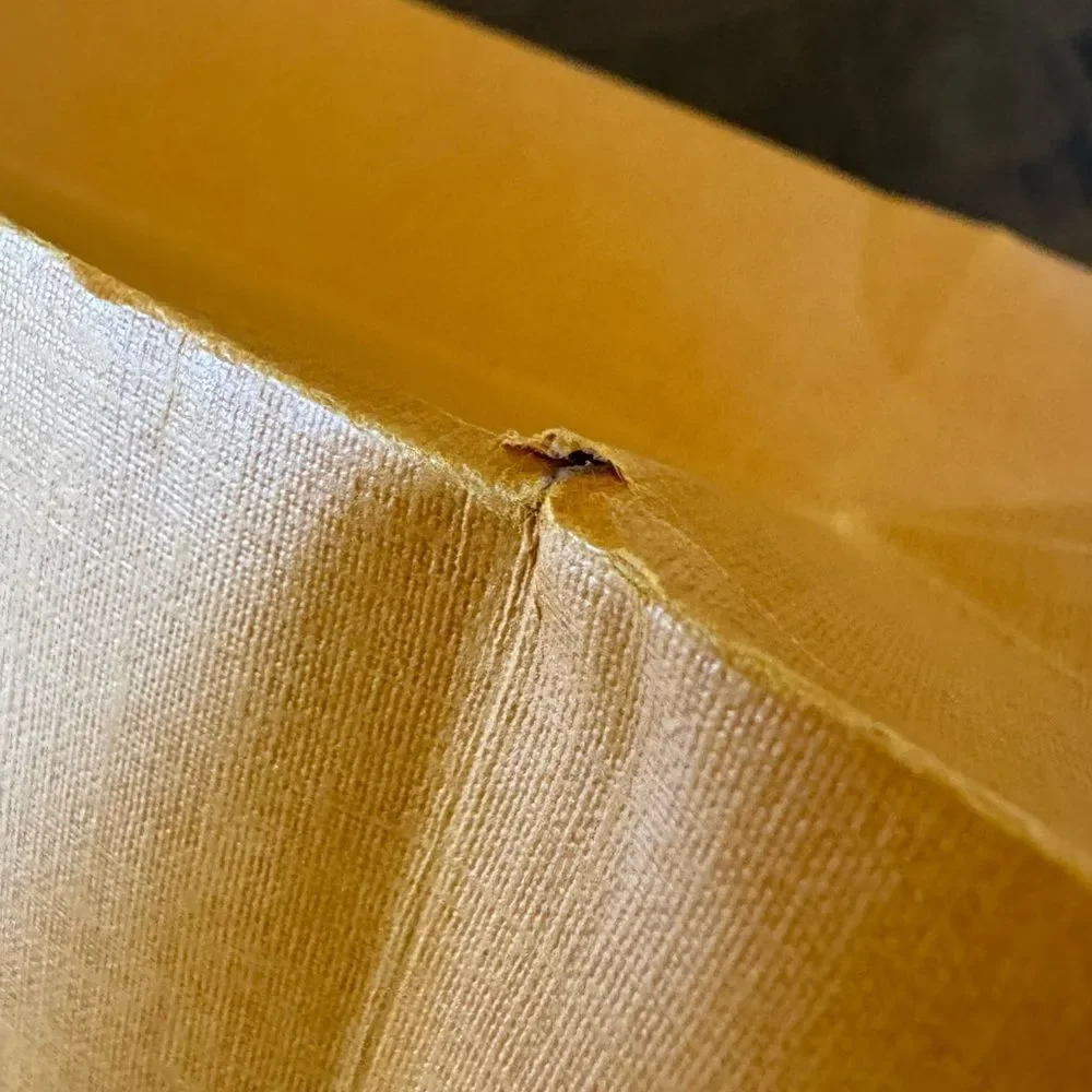 Authentic Louis Vuitton Small Shopping Gift Bag‎ LV